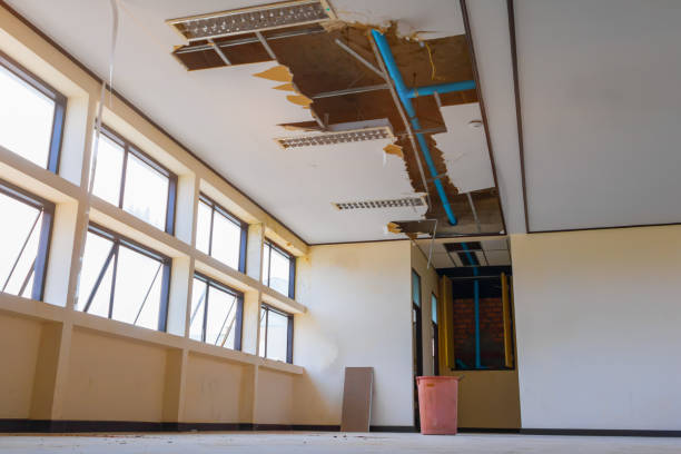 Best Ceiling water damage repair  in Washington Heights, NY