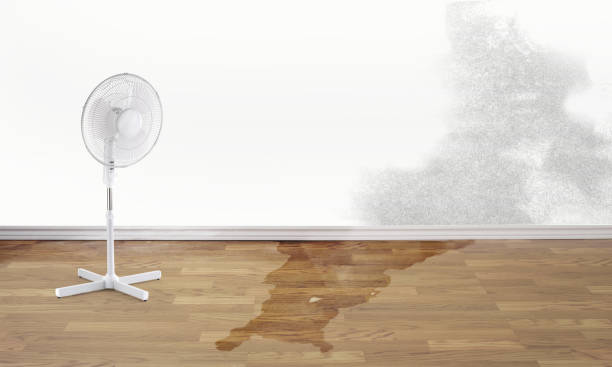 Best Flood damage cleanup  in Washington Heights, NY