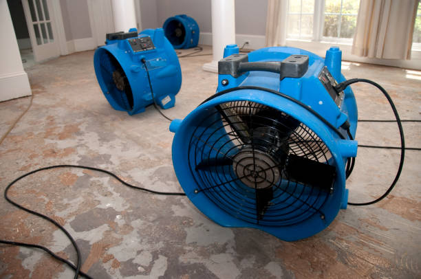 Best Professional water damage repair  in Washington Heights, NY