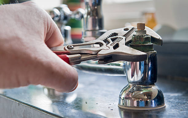 Best Mold removal after water damage  in Washington Heights, NY