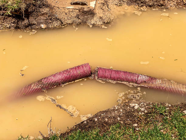 Best Basement water damage restoration  in Washington Heights, NY